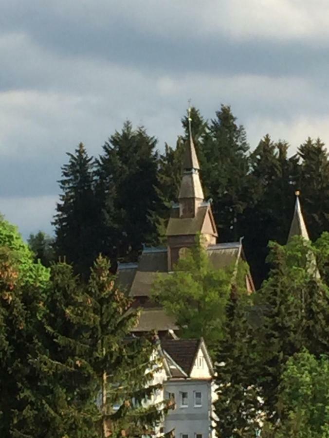 Seesicht Appartements Am Kranichsee جوسلار المظهر الخارجي الصورة