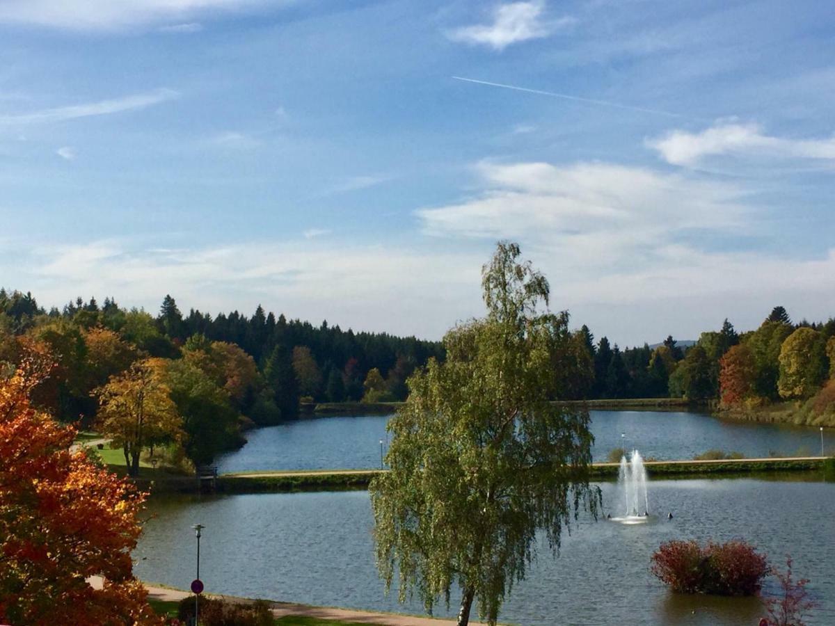 Seesicht Appartements Am Kranichsee جوسلار المظهر الخارجي الصورة